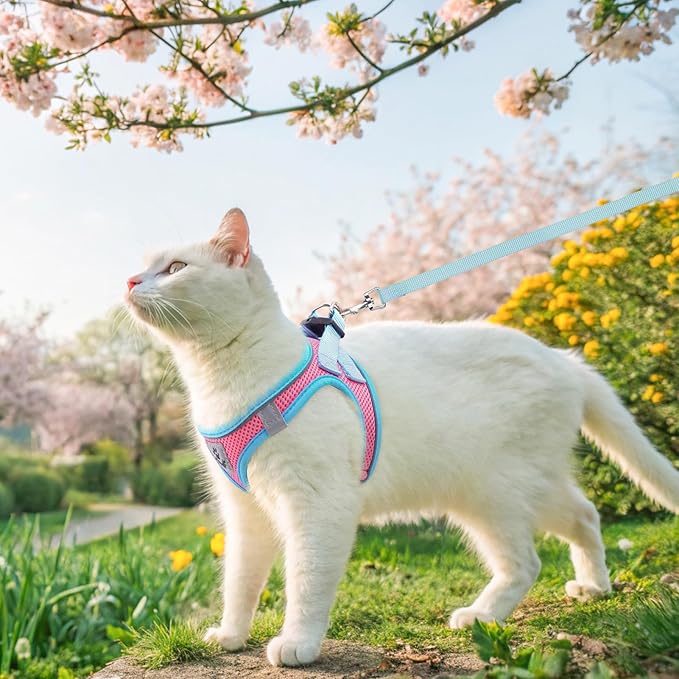 SCENEREAL Cat Harness and Leash Set Escape Proof, Adjustable Soft Air Mesh Kitten Harnesses for Girls Boys Small Medium Big Cats, Reflective Light Travel Pet Walking Vest for Puppy Rabbit, Pink M