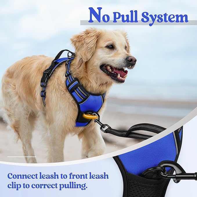 rabbitgoo Dog Harness No Pull with 2 Leash Clips, Adjustable Soft Padded, Reflective Oxford No Choke Pet Vest with Easy Control Handle for Large Dogs, Dazzling Blue, XL