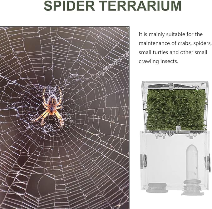 balacoo 8 Sets Jumping Spider Enclosure: Spider Cage Habitat Jumping Terrarium Micro Scorpion Droppers Reptile Hide Clear Enclosure Breeding Box Case with Breeding Tweezers