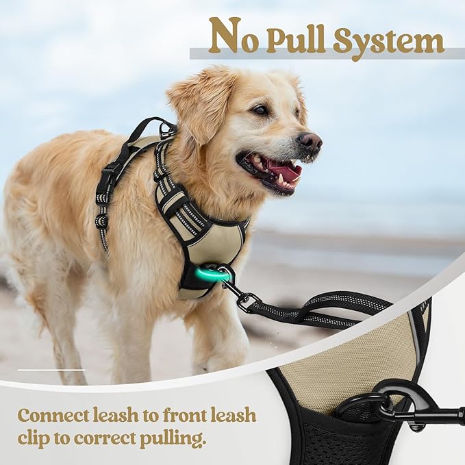rabbitgoo Dog Harness No Pull with 2 Leash Clips, Adjustable Soft Padded, Reflective Oxford No Choke Pet Vest with Easy Control Handle for Large Dogs, Beige, XL