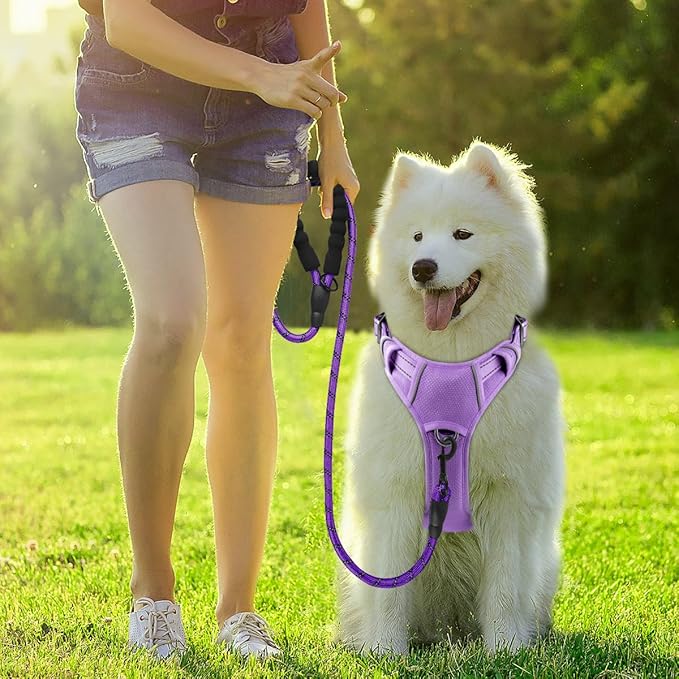 BARKBAY Dog Harness No Pull with ID Tag Pocket - Heavy Duty, Reflective, Easy Control for Large Dogs(Violet Purple,M)