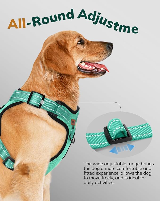 MIDOG No-Pull Dog Harness | Adjustable & Reflective Pet Harness Leash Set for Small Medium Large Dogs Walking, Training| No Choke, Front Clip, Soft Padded Vest with Easy Control Handle - Green, XS