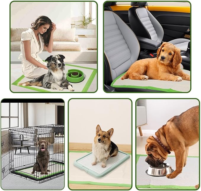 Dog Pee Pads Rugular 22"x22", Thicker ECO Green Small Disposable Puppy Training Pads Super Absorbent Full Edge-Wrapping Pad for Dogs, Puppies, Doggies, Cats-(100 Count)
