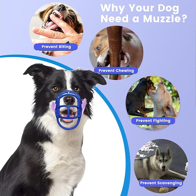 Dog Muzzle, OKKIC Basket Muzzle Anti Biting Chewing, Sturdy Lightweight Muzzle Allows Panting Drinking,Muzzle for Small Medium Large Dogs, Suitable for Grooming Trimming Training (Blue, Size3)