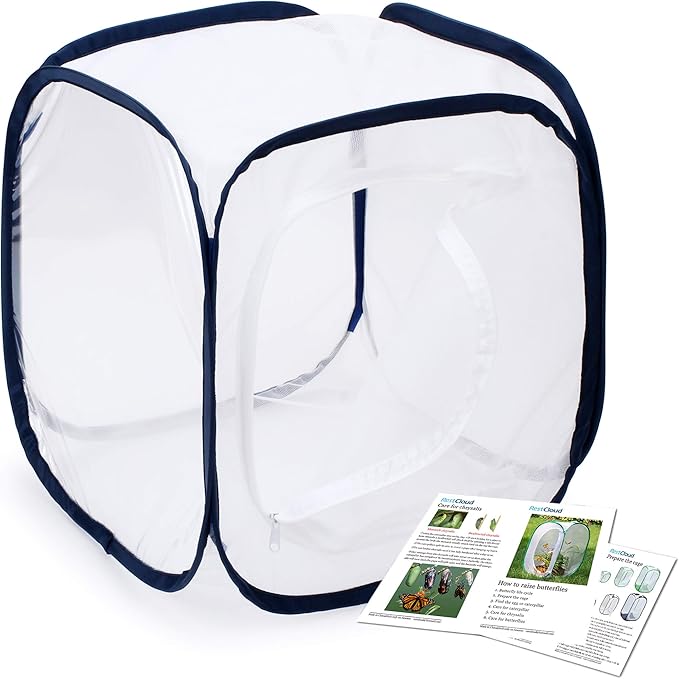 Insect and Butterfly Habitat Cage Terrarium Pop-up 12 X 12 X 12 Inches