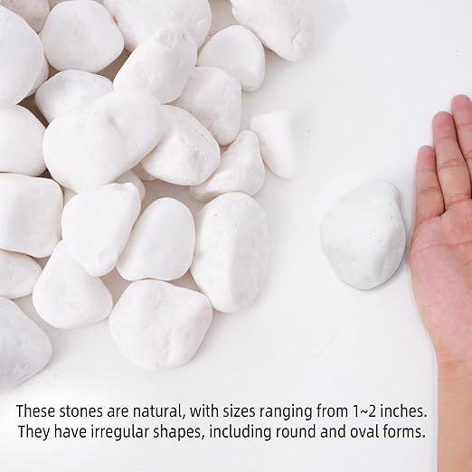 45LB 1"-2" White River Rocks for Plants, Polished Pebbles for Garden Landscaping, Planters, Aquariums, Vase Fillers – Indoor & Outdoor Decor