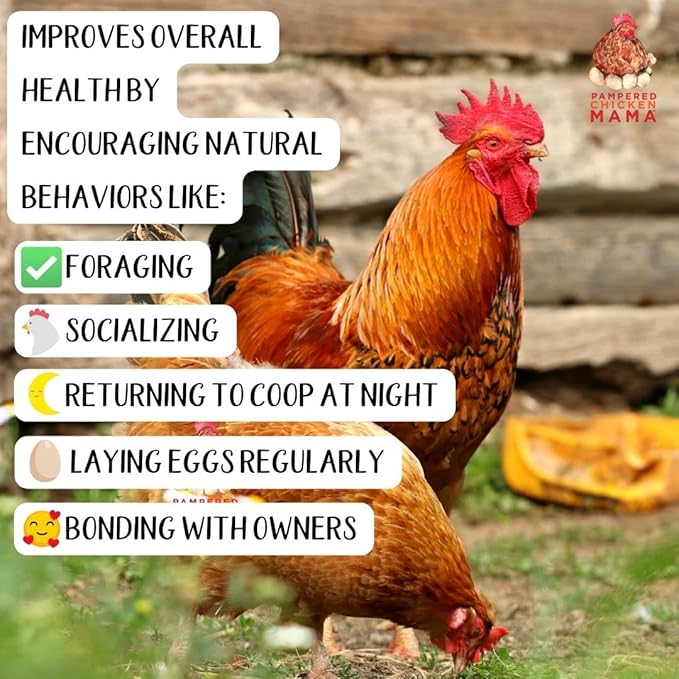 Pampered Chicken Mama Non-GMO Mealworm, Corn, Flax, & Herb Treat for Backyard Chickens, Healthy Layer Feed & Supplies for Pet Chickens Poultry Queen Treat for Hens (20 pounds)