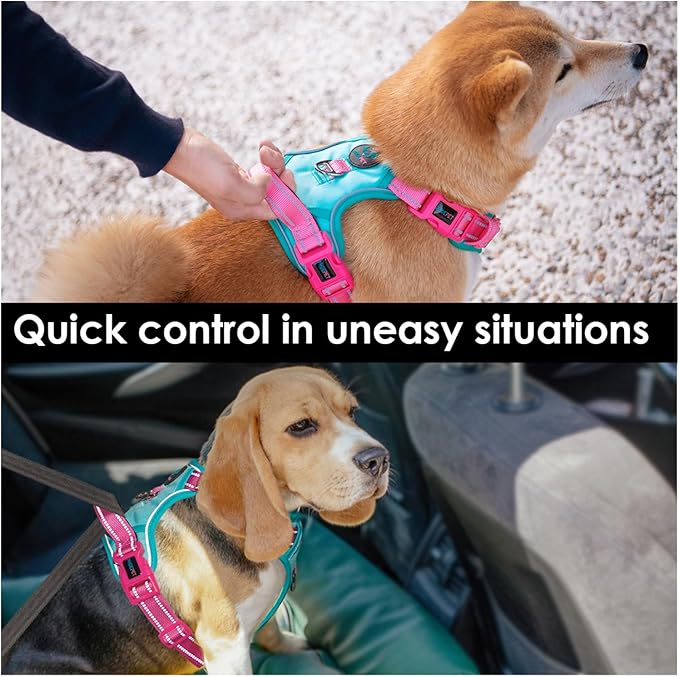 PHOEPET No Pull Dog Harness, Unique Colors Reflective Adjustable Dog Vest, with Soft Training Handle Metal Clips for Small Medium Large Dogs (Mint Green Base & Pink Straps,S)