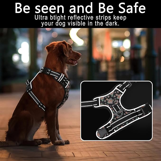 Timos Dog Harness, No-Pull Pet Harness with 2 Leash Clips, 3 Snap Buckles Adjustable Soft Padded Dog Vest, Reflective No-Choke Pet Oxford Vest with Easy Control Handle for Small Medium Large Dogs