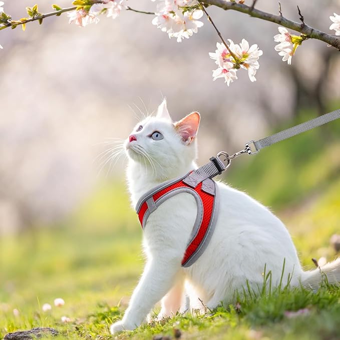 SCENEREAL Cat Harness and Leash Set Escape Proof, Adjustable Soft Air Mesh Kitten Harnesses for Girls Boys Small Medium Big Cats, Reflective Light Travel Pet Walking Vest for Puppy Rabbit, Red XL