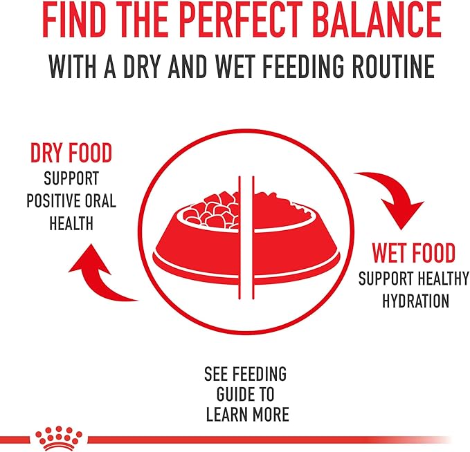 Royal Canin Feline Health Nutrition Adult Instinctive Loaf in Sauce Canned Cat Food, 5.1 oz can (24-count)