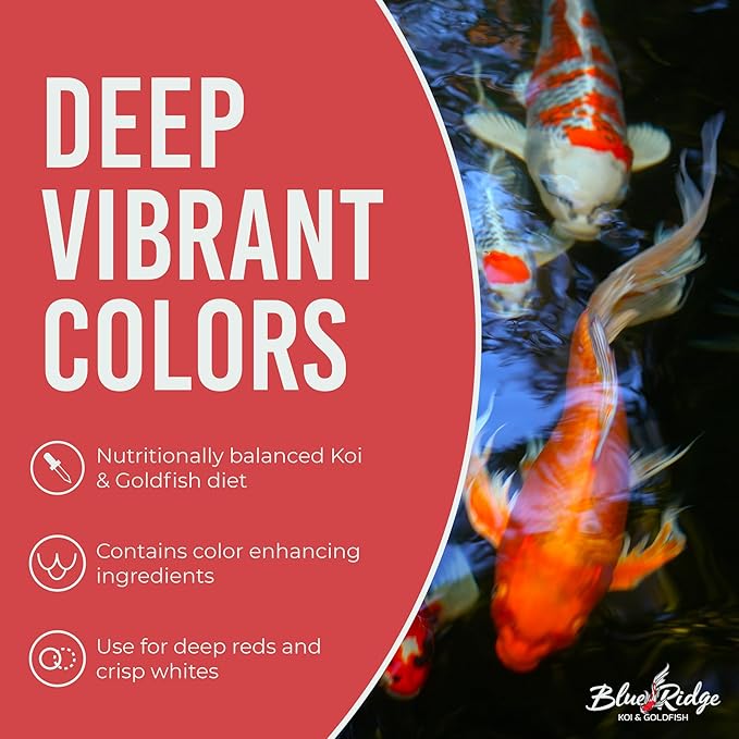 Blue Ridge Koi Fish Food 50lb - Koi Food Mini Growth Formula, Goldfish Food, Premium Fish Food for Ponds, Ponds Fish Food, Floating Pond Pellets