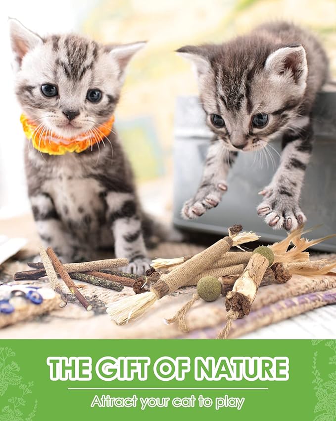 TINDTOP Catnip Chew Toys for Cats, 12 Pack Natural Silvervine Sticks for Kittens Teeth Cleaning, Matatabi Dental Care, Increase Appetite, Calm Cat Anxiety and Stress, Aggressive Chewers Cat Dental Toy
