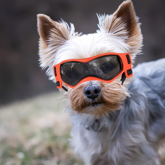 Dog Goggles Dog Sunglasses for Small Breed UV Protection Windproof with Adjustable Head Straps Chin Straps for Ride Car/Hiking Travel/On Beach-Orange