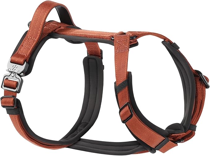 CLEPAWS Dog Harness for Large Dogs, No Pull Dog Harness Easy Walk with Metal Hardware, Ergonomic Y-Shaped Design, Soft Padding, Padded Handle, Durable High-Tensile Nylon (Canyon Red, L)