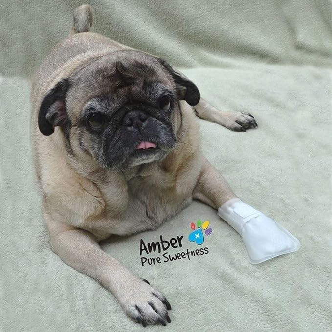 Outdoor Water Proof Cover. Slides Over MediMitts for Dogs paw (which are Sold Separately) Fastens with Medimitt Strap. Useful for hot Spots, Allergies and More. Value 20pack (X-Small)