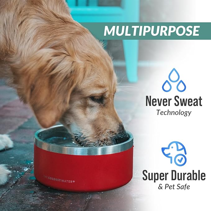 Coldest Dog Bowl - Anti Rust Metal, Non Slip, 3 Layers Insulated Stainless Steel Dog Bowls - Spill Proof & Heavy Duty - Water Bowl for Dogs, Cats & Pets, Dish Washer Safe (200 oz, Into The Beyond)