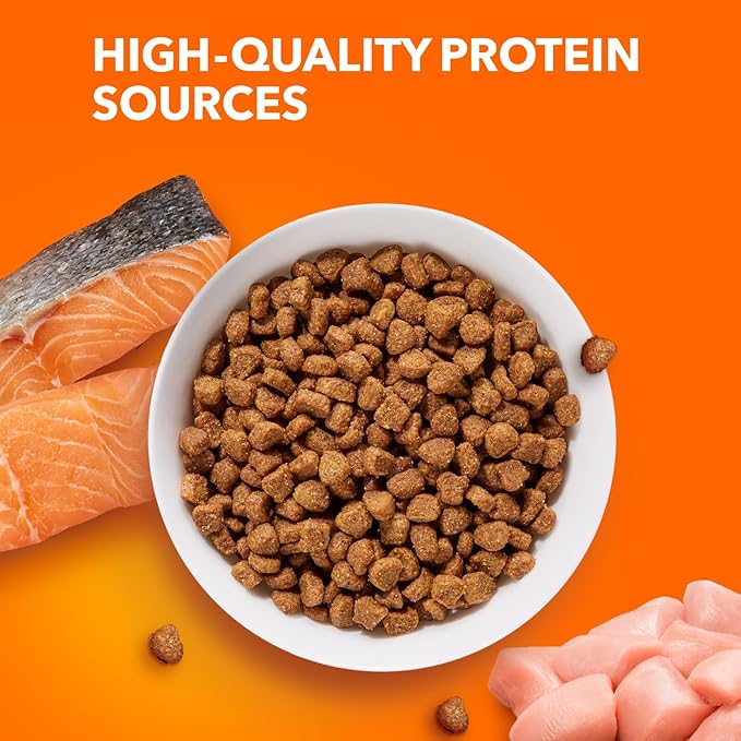IAMS Proactive Health Adult Healthy Dry Cat Food with Real Salmon, 16 lb. Bag