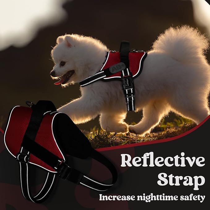 rabbitgoo Dog Harness for Small, Easy On Pet Vest with One Buckle, No Pull Adjustable Service Harness with D-Ring & Handle, Reflective for Safety Walking, Training, Red, S