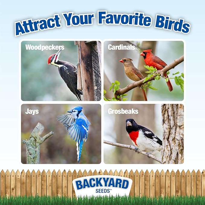 CountryMax Backyard Seeds Woodpecker No Waste Bird Seed Mix – 5 lb Bag | Shelled Peanuts, Sunflower Chips, Tree Nuts | Attracts Woodpeckers, Nuthatches, Jays