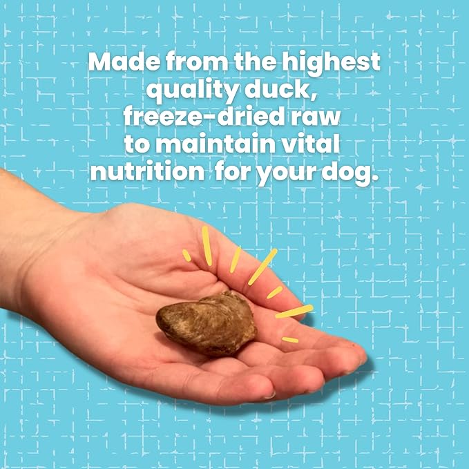 hotspot pets Freeze Dried Duck Heart Treats for Cats & Dogs - Made in USA, 1LB Big Bag - Single Ingredient All Natural Grain-Free Duck Hearts - Perfect for Training, Topper or Snack