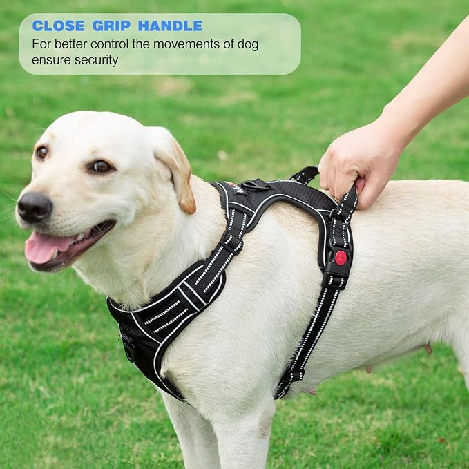 No Pull Dog Harness Adjustable Reflective Oxford Easy Control Medium Large Dog Harness with A Free Heavy Duty 5ft Dog Leash (S (Neck: 13"-18", Chest: 17.5"-22"), Purple Harness+Leash)