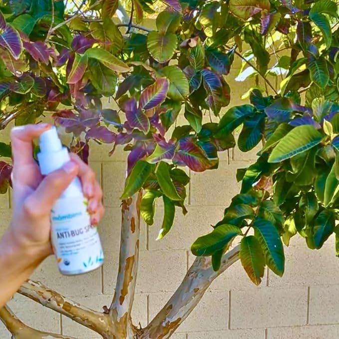 Anti-Bug Spray DEET-Free – Organic, All-Natural Bug Spray Travel Size with Essential Oils – Non-Toxic, Reef Safe, Face-Safe Bug Repellent for Babies, Kids, Adults by Mambino Organics, 4oz 2-Pack