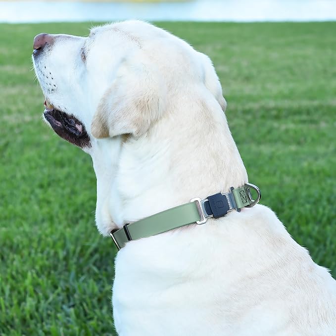 Dogline Biothane Waterproof Dog Collar with Herm Sprenger Stainless Steel Quick Release Buckle – Heavy Duty Tactical Durable Collar for Dogs – Comfortable and Safe Pet Collar, W 1" L 15-25" Sage Green