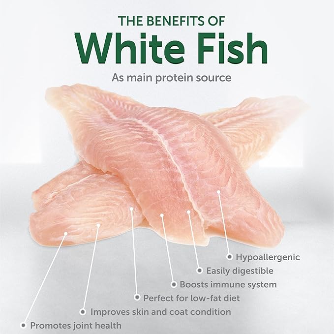 Nature's Protection Superior Care White Dogs Grain-Free Dry Dog Food - High Protein, Tear Stain Dog Food for Small & Mini Breeds Light Coated Adult Dogs, Fresh Pet Meal, White Fish, 22 lb