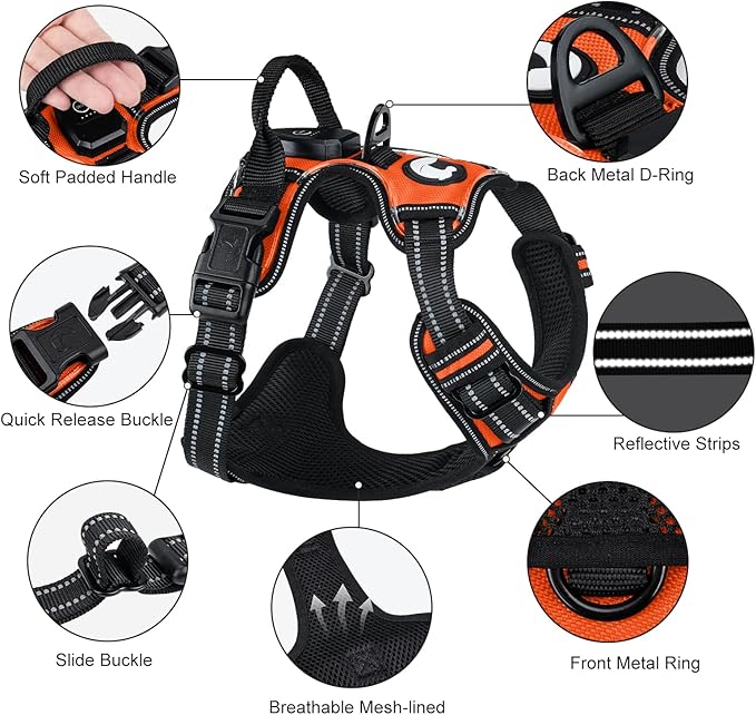 Taglory Light Up Dog Harness, Rechargeable No Pull Dog Vest with 3 Lightning Modes, Reflective Dog Harness with 2 Leash Clips & 4 Adjustable Slide Strips for Medium Dogs, Orange-Orange, M