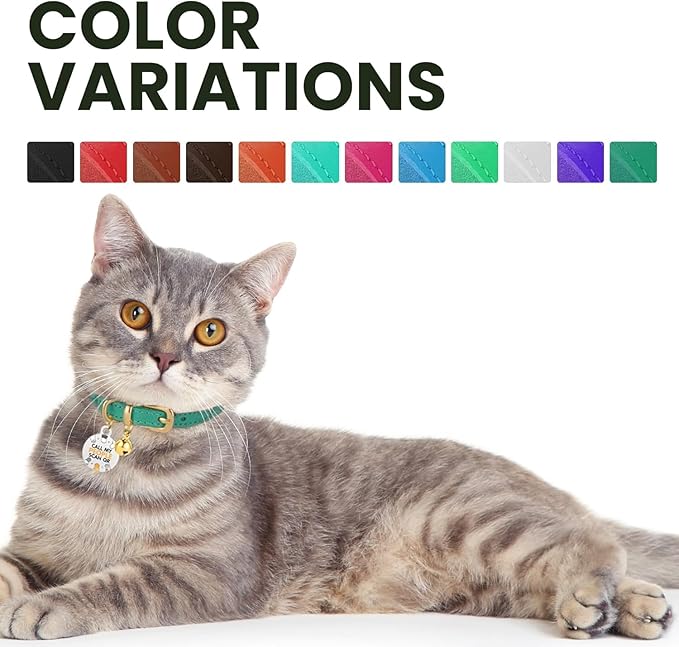 BRONZEDOG Leather Cat Collar with Removable Bells Non Breakaway Kitten QR Tag for Girl Boy (9" - 12" Cats/Mini Dogs, Orange & Silver)