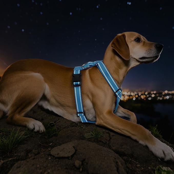 Dog Seat Belt Harness for Car, Dog Car Harness Adjustable Mesh Breathable & Dogs Seatbelt Safety Tether with Elastic Bungee for Small Medium Large Pets(Blue, M)