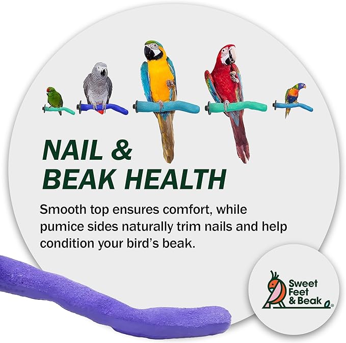 Sweet Feet & Beak Safety Pumice Bird Perch, X-Large 2-1/4" X 14", Blue - Lightweight Grinding Bird Perches for Cage - Bird Nail Trimming Perch for Healthy Beak & Feet - Multi-Size & Color Parrot Stand