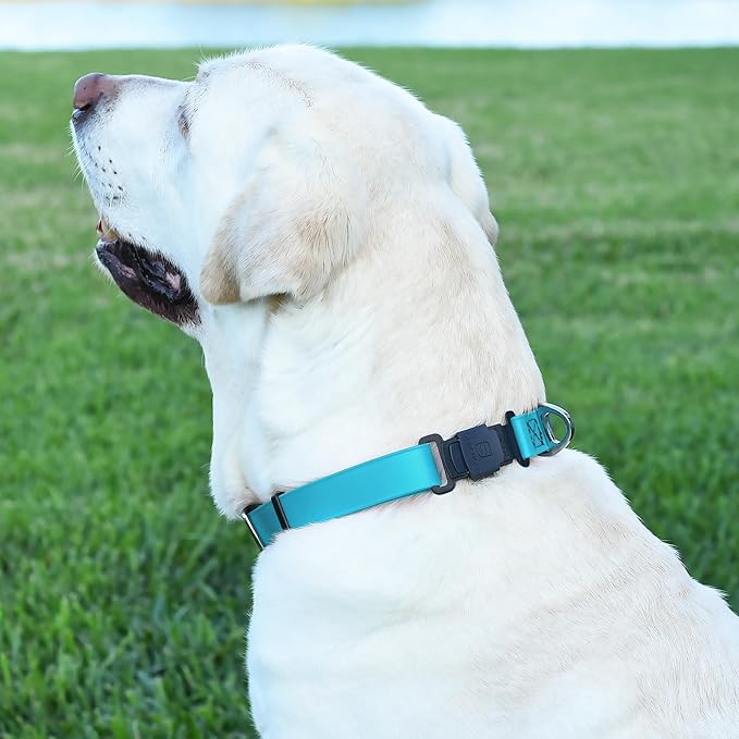 Dogline Biothane Waterproof Dog Collar with Herm Sprenger Black Stainless Steel Quick Release Buckle – Heavy Duty Tactical Durable Collar for Dogs – Comfortable and Safe Pet Collar, W 3/4" L 12-19"