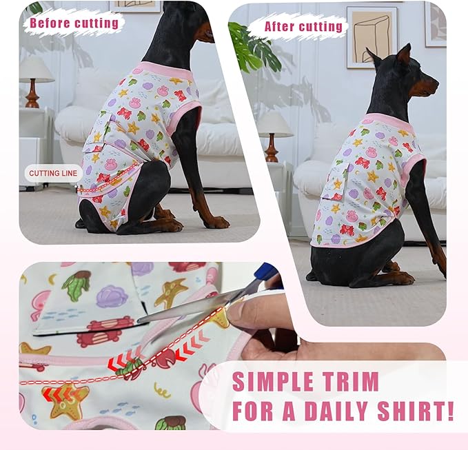 Recovery Suit for Dogs After Surgery, Professional Dog Surgical Suit for Female Spay, Male Neuter, E-Collar & Cone Alternative Dog Onesie for Abdominal Wounds Skin Disease, Fruit, XXL