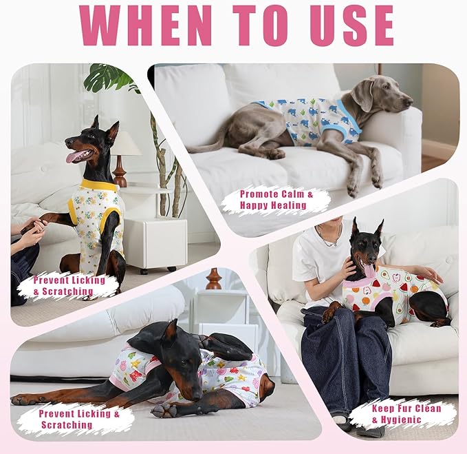 Recovery Suit for Dogs After Surgery, Professional Dog Surgical Suit for Female Spay, Male Neuter, E-Collar & Cone Alternative Dog Onesie for Abdominal Wounds Skin Disease, Fruit, L