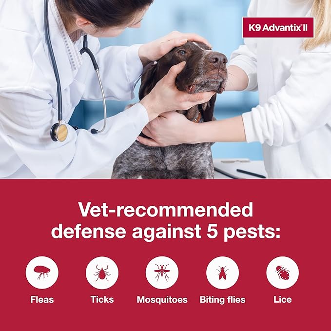 K9 Advantix II XL Dog Vet-Recommended Flea, Tick & Mosquito Treatment & Prevention | Dogs Over 55 lbs. | 4-Mo Supply (Pack of 2)