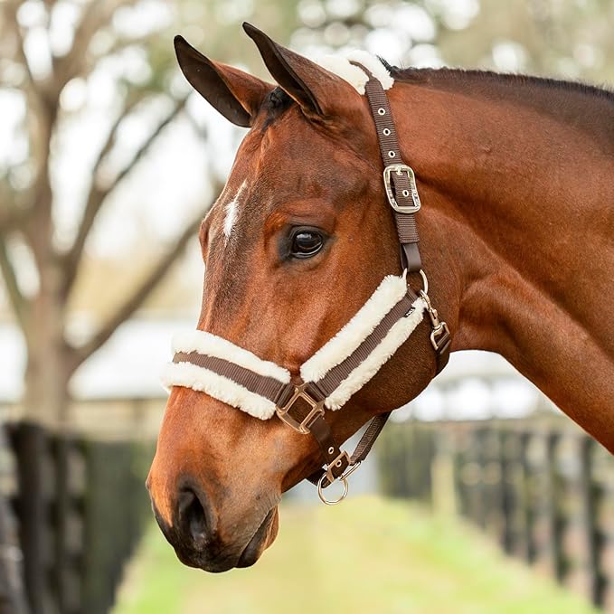 Equinavia Valkyrie Soft Ultra Fleece Padded Adjustable Breakaway Horse Halter - Brown/Ivory White - Horse
