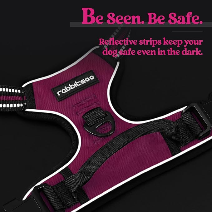 rabbitgoo Dog Harness No Pull with 2 Leash Clips, Adjustable Soft Padded, Reflective Oxford No Choke Pet Vest with Easy Control Handle for Large Dogs, Hot Pink, S