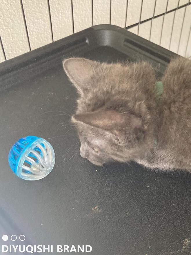 10-Pack Colorful Cat Toy Balls with Bells for Indoor Cats and Kittens (1.5'' - 2.3'', Cat Toys Mega Set)