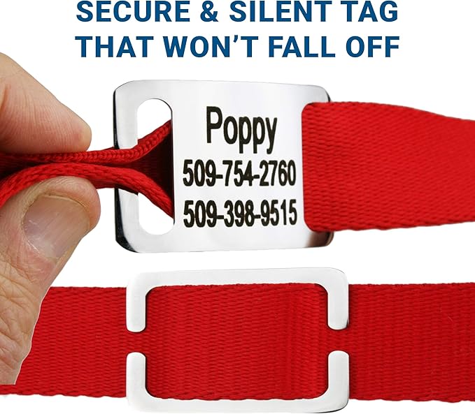 GoTags Personalized Dog Collar with Nameplate, Adjustable Dog Collar with Custom Engraved Slide On Pet ID Tag in Stainless Steel, Silent, No Noise Dog Tag for Large Medium and Small (Red, Medium)