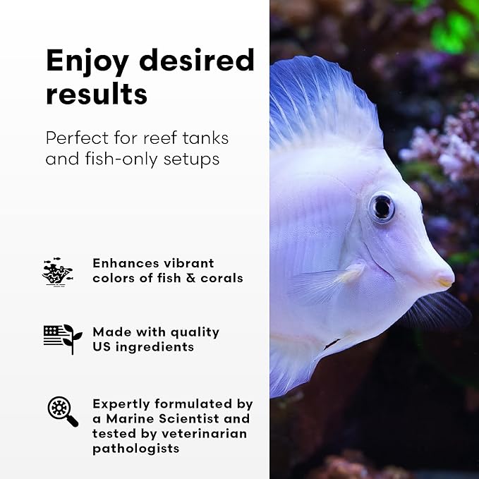 Brightwell Aquatics Rēplenish – Premium Trace & Minor Element Supplement for Marine Aquariums, Supports Healthy Fish, Corals, and Invertebrates, 2 L