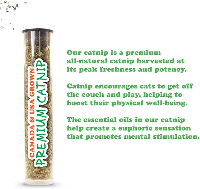 Meowijuana Jump 'n' Jamb Door Hanging Cat Toy | Chameleon | Refillable Interactive Catnip Toy | Promotes Play and Cat Health | Includes Potent Catnip Grown in North America
