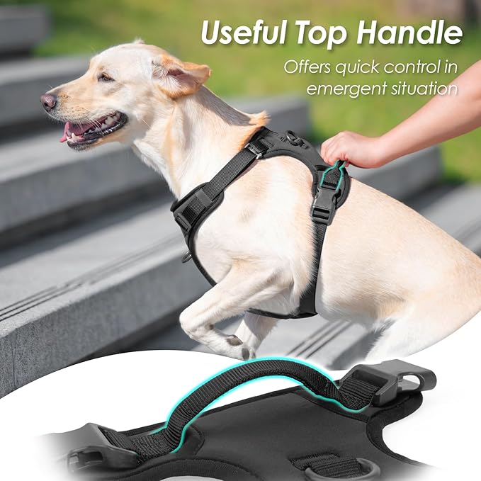 No Pull Dog Harness, Puppy Vest with Front Clip for Small Medium Large Sized Dog(Black,M)