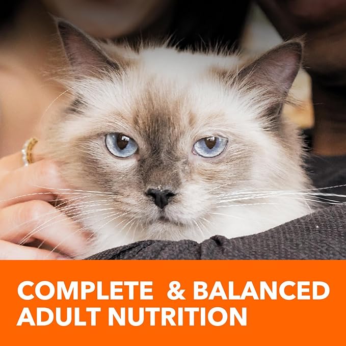 IAMS Proactive Health Adult Sensitive Digestion & Skin Dry Cat Food with Turkey, 6 lb. Bag