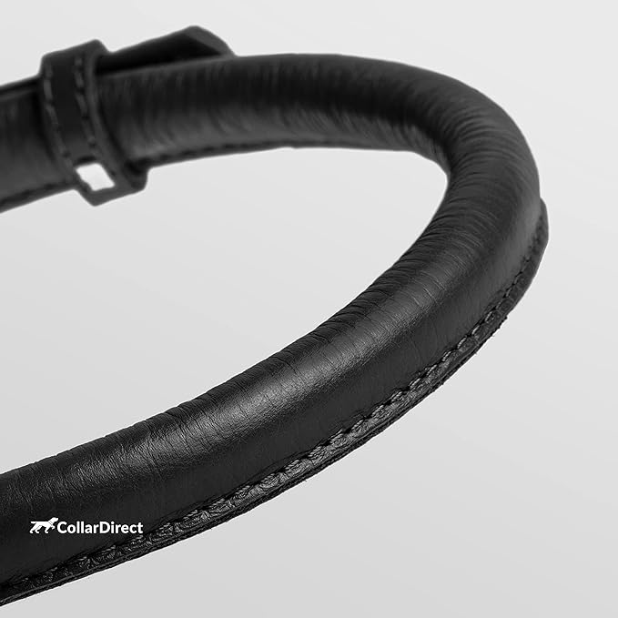CollarDirect Rolled Leather Dog Collar, Soft Padded Round Puppy Collar, Handmade Genuine Leather Collar Dog Small Large Cat Collars 13 Colors (8-11 Inch, Black Textured)