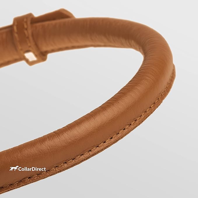 CollarDirect Rolled Leather Dog Collar, Soft Padded Round Puppy Collar, Handmade Genuine Leather Collar Dog Small Large Cat Collars 13 Colors (11-14 Inch, Cinnamon Textured)