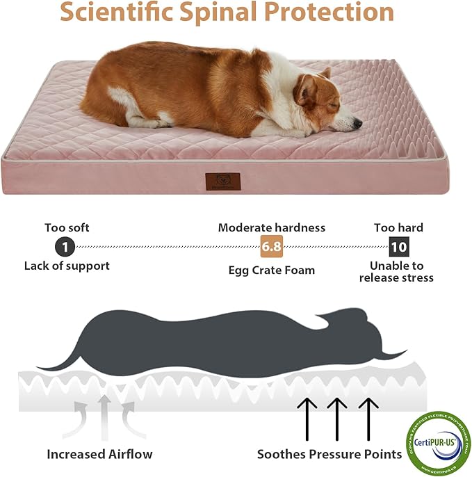 WNPETHOME Orthopedic Big Dog Beds Large Sized Dog, Waterproof Extra Large Dogs Bed with Removable Washable Cover, Multi-Needle Quilting Dogs Crate Bed