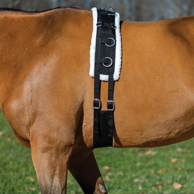 Dura-Tech Fleece Lined Training Surcingle for Horses | Essential for Lunging Work | Comfortable Fleece Lining | Durable Poly Material | Versatile D-Ring Placement | Suitable for All Training Levels