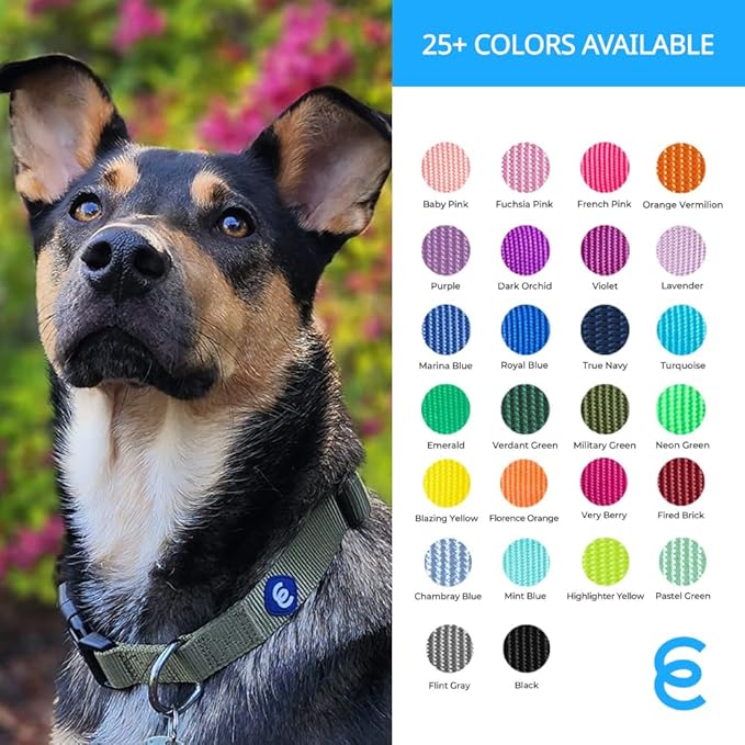 Blueberry Pet Essentials Large Dog Collar | Adjustable Fuchsia Pink Nylon Collar for Large Dogs | Stylish Girl Dog Collars | Secure Female Dog Collar with Eco-Friendly Buckles, 18"-26" Neck
